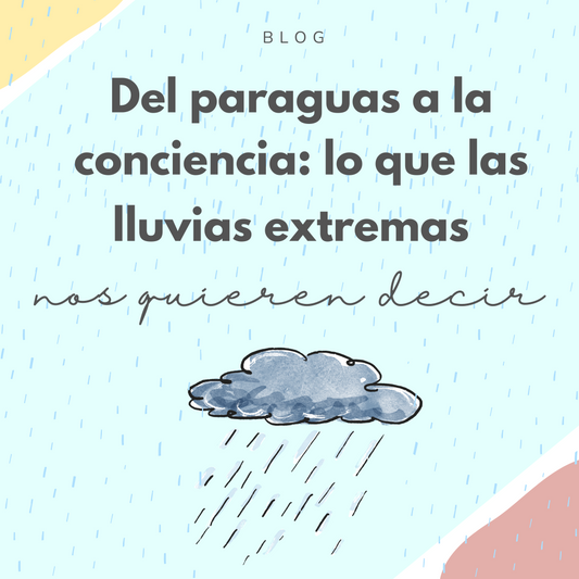 Del paraguas a la conciencia: lo que las lluvias extremas nos quieren decir