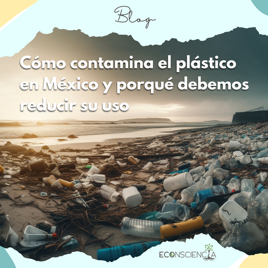Cómo contamina el plástico en México y porqué debemos reducir su uso