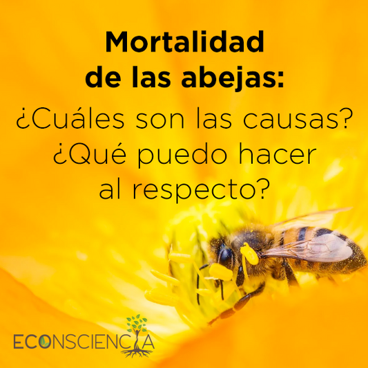 Mortalidad de las abejas: ¿Cuáles son las causas? ¿Qué puedo hacer al respecto?