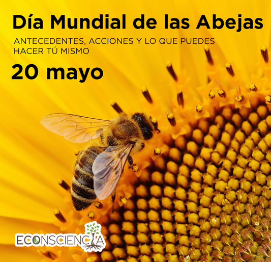 Día Mundial de las Abejas 2022: Antecedentes, acciones y lo que puedes hacer tú mismo