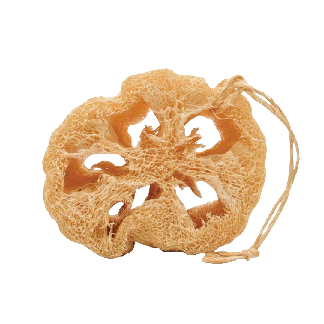 Estropajo 100% natural con cordón de ixtle. Estropajo con cordón de ixtle. Está hecho de fibras naturales, fruto de la Luffa Aegyptiaca, su tamaño es variable. Es el sustituto perfecto de las esponjas o fibras sintéticas.