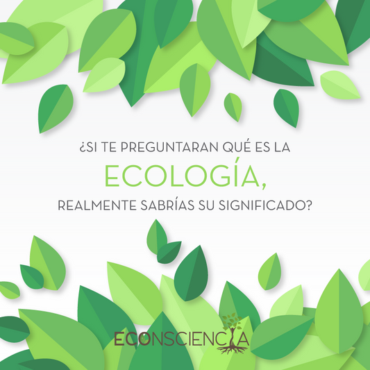 ¿Si te preguntaran qué es la ecología, realmente sabrías su significado?