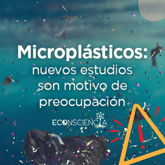 Microplásticos: nuevos estudios son motivo de preocupación