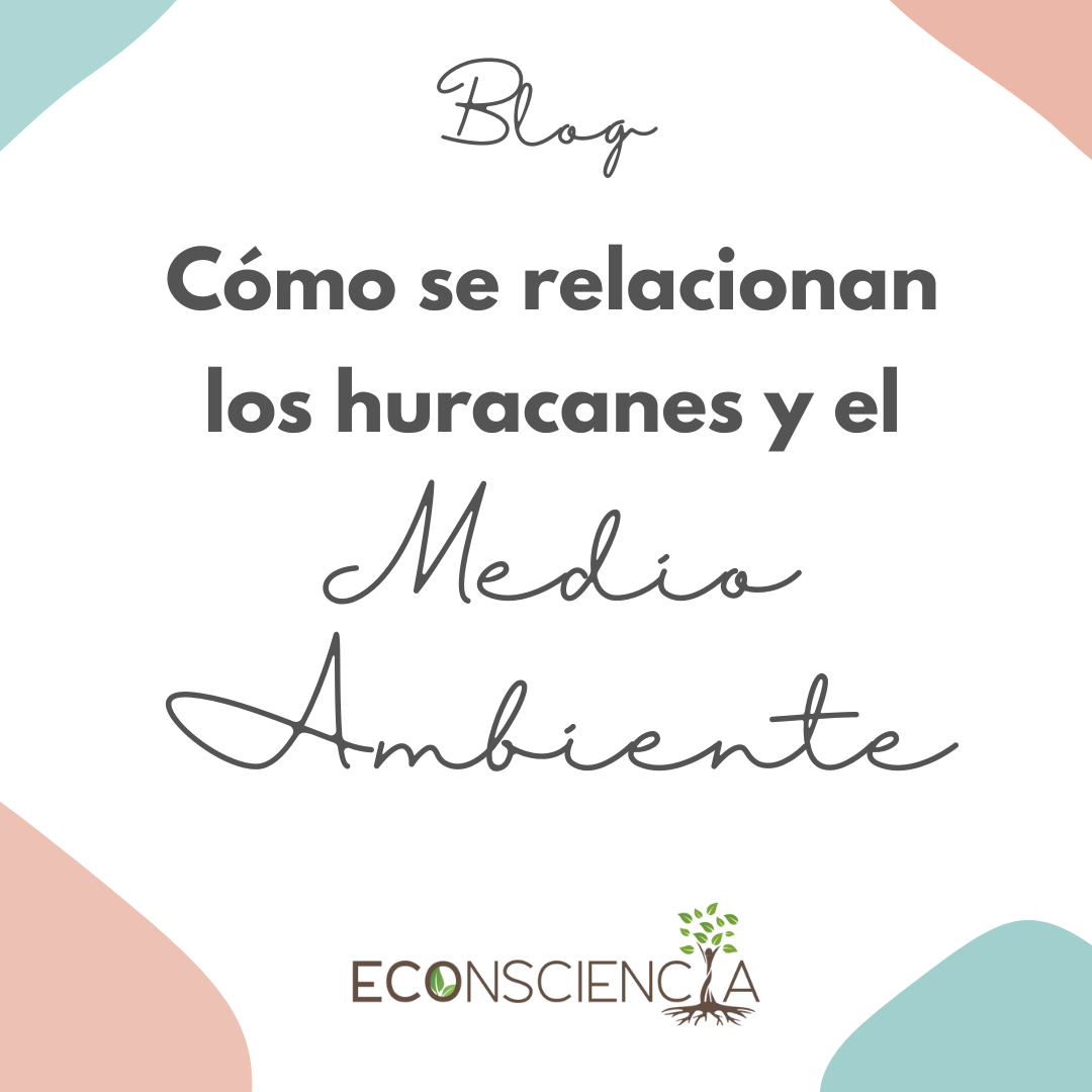 Cómo se relacionan los huracanes y el Medio Ambiente