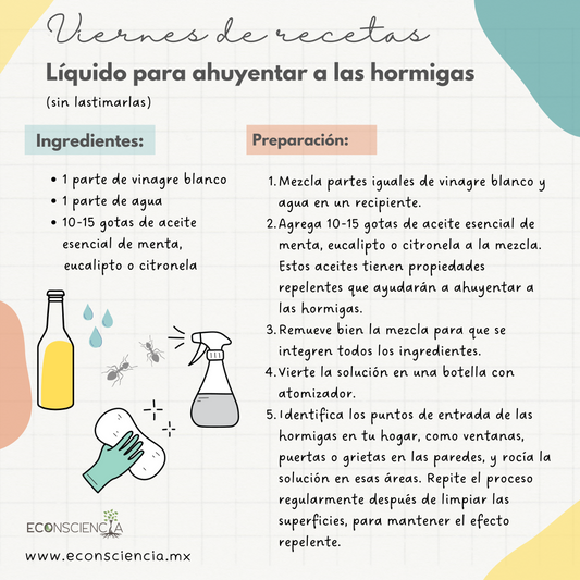 Viernes de recetas - Líquido para ahuyentar a las hormigas (sin lastimarlas)