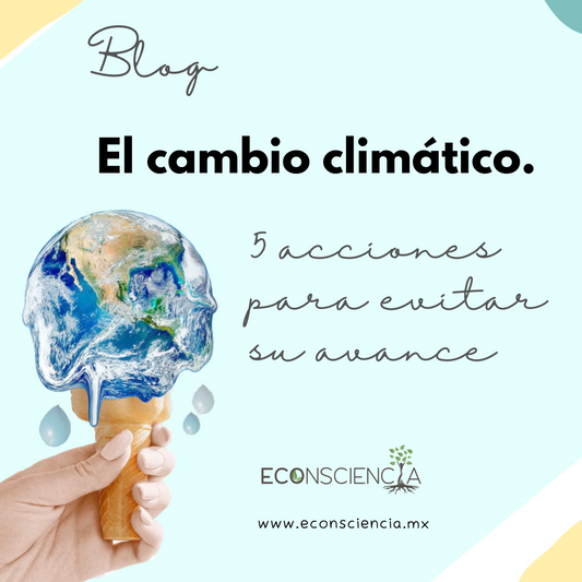 El cambio climático. 5 acciones para evitar su avance
