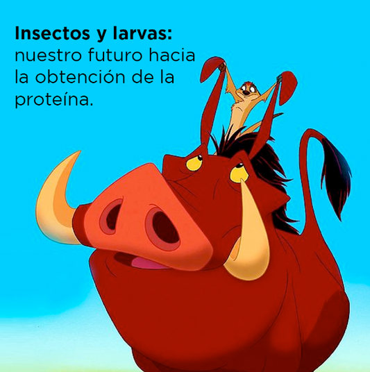 Insectos y larvas: nuestro futuro hacia la obtención de la proteína