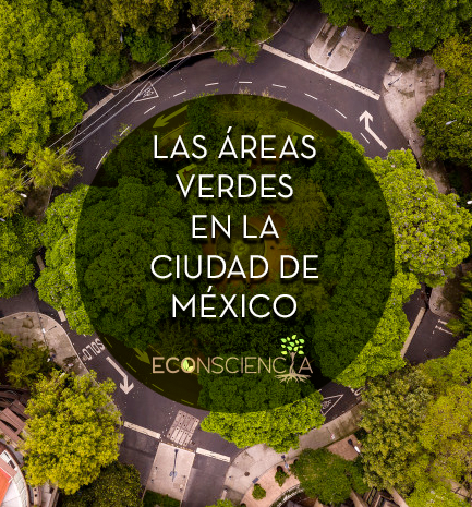 Las áreas verdes en la Ciudad de México