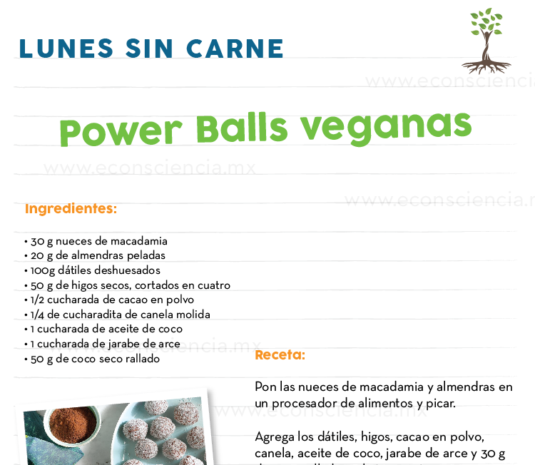 Lunes sin carne - Power Balls veganas