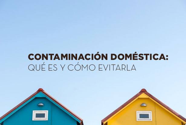 Contaminación doméstica: qué es y cómo evitarla