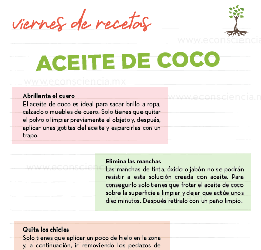 Viernes de recetas - Aceite de coco