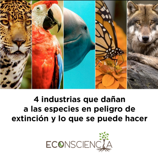 4 industrias que dañan a las especies en peligro de extinción y lo que se puede hacer