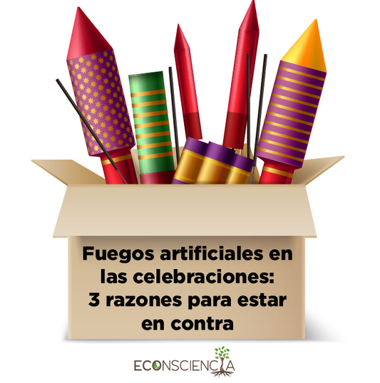 Fuegos artificiales en las celebraciones: 3 razones para estar en contra