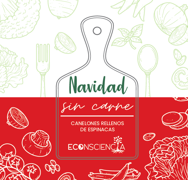 Navidad SIN CARNE - Canelones rellenos de espinacas