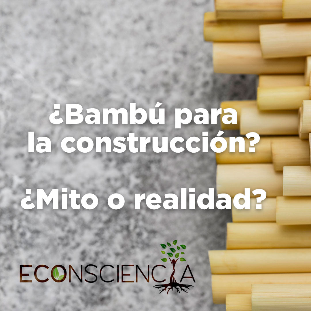 ¿Bambú para la construcción? ¿Mito o realidad?