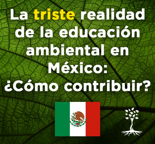 La triste realidad de la educación ambiental en México: ¿Cómo contribuir?