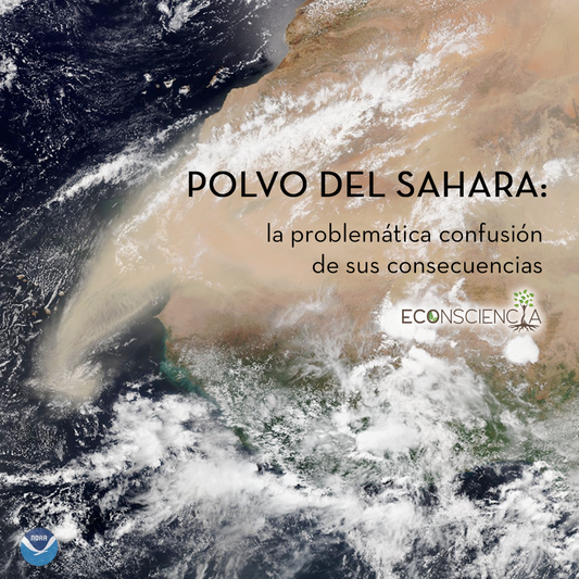 Polvo del Sahara: la problemática confusión de sus consecuencias