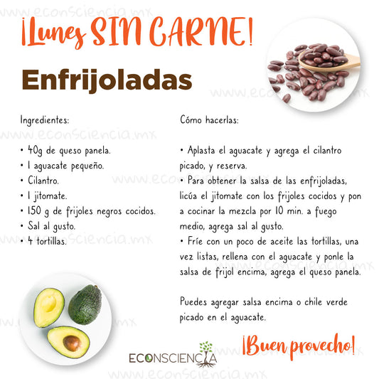 Lunes SIN CARNE -  Enfrijoladas