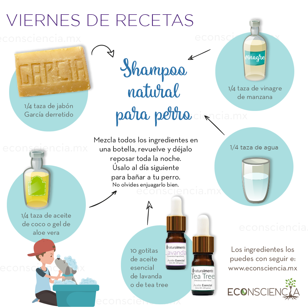 Viernes de recetas - Shampoo natural para perro