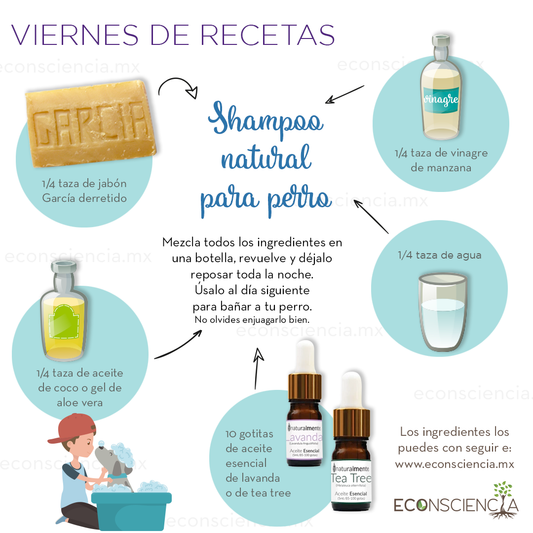 Viernes de recetas - Shampoo natural para perro