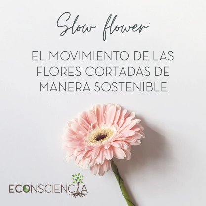 Slow flower: El movimiento de las flores cortadas de manera sostenible