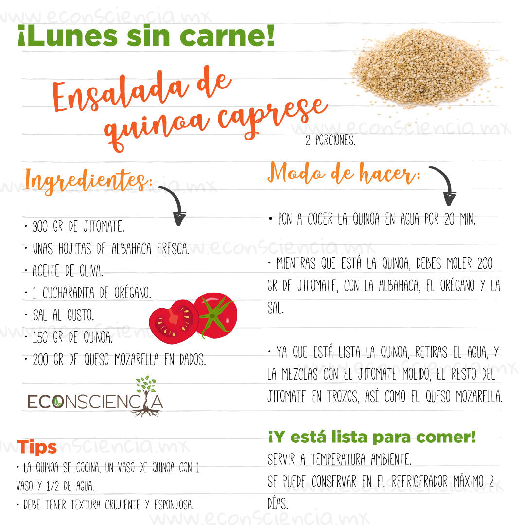 Lunes sin carne - Ensalada de quinoa caprese