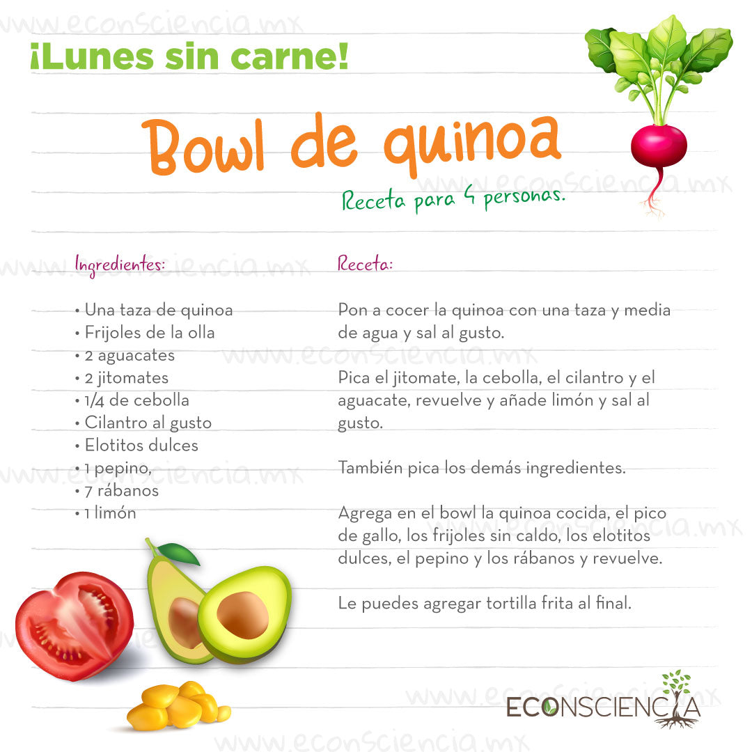 Lunes sin carne - Bowl de quinoa