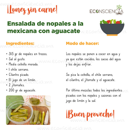 Lunes sin carne - Ensalada de nopales a la mexicana con aguacate