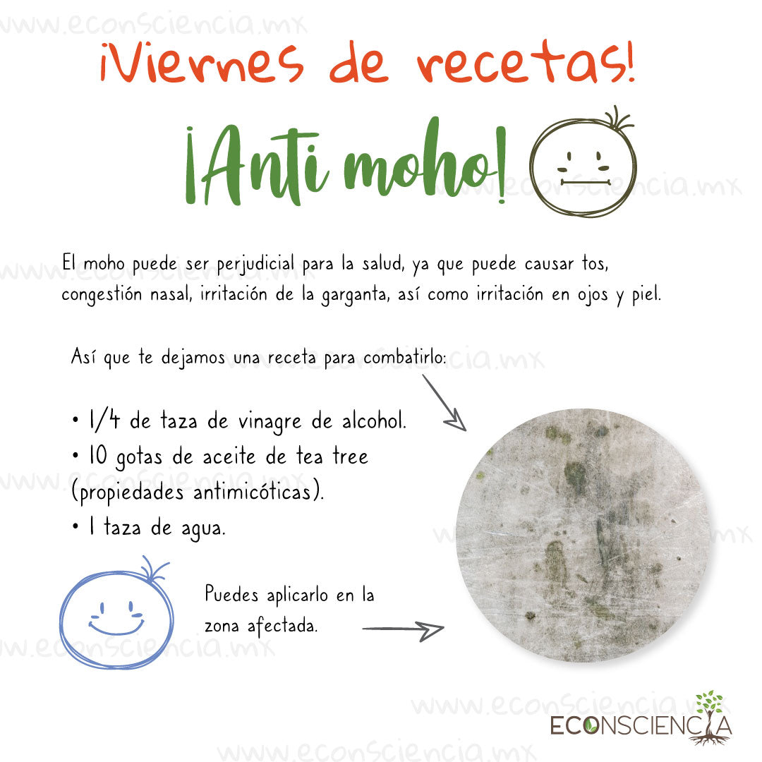 Viernes de recetas - Anti moho